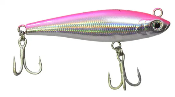 Isca Nelson Nakamura Curisco 70