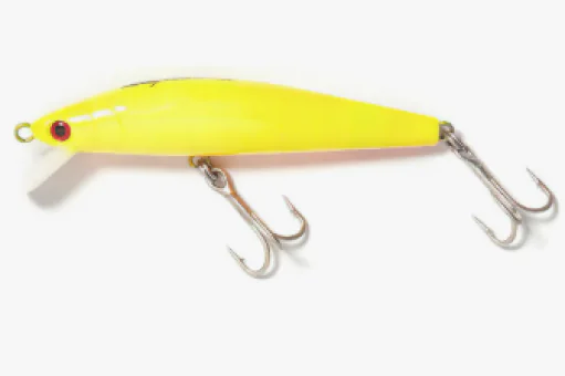 Isca Nelson Nakamura Fatal 80