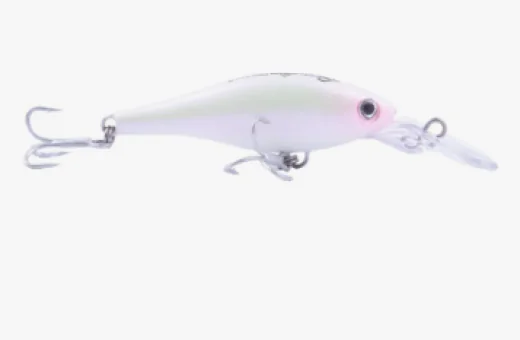 Isca Nelson Nakamura Mago 60