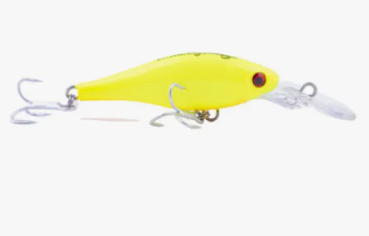 Isca Nelson Nakamura Mago 60