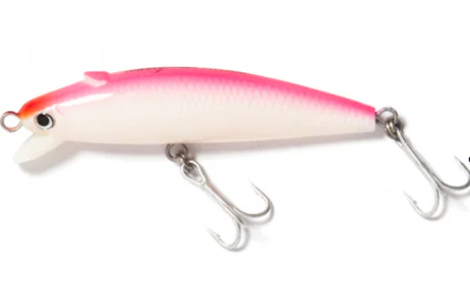 Isca Nelson Nakamura Bora Plus 10